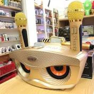 LOA BLUETOOTH KARAOKE 2 MIC SD-306 Không Dây Song Ca Bass Chuẩn Công Suất Lớn - BH 6 tháng