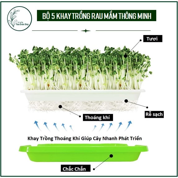 Bộ 5 Khay Trồng Rau Mầm Thông Minh Thủy Canh