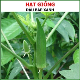 Hạt Giống Đậu Bắp Cao Sản Rạng Đông 50Gram