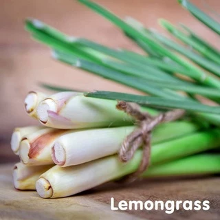 Tinh dầu sả chanh Lemongrass Essential Oil