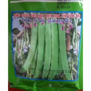 Đậu cove leo hạt đen, nâu hoa tím 50g