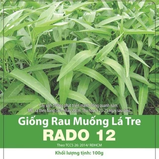 Hạt giống rau muống lá tre rado 50g