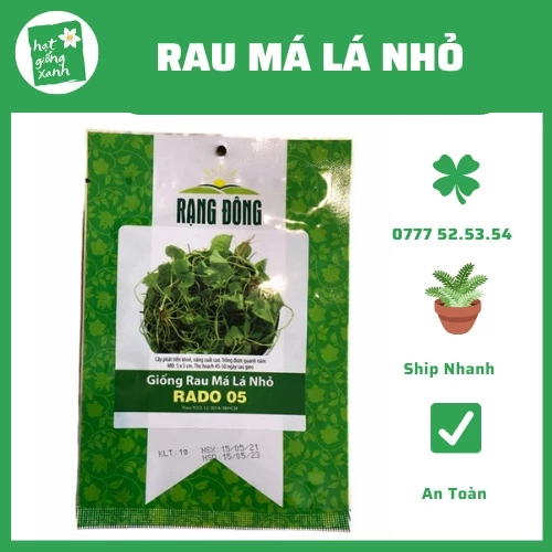 Hạt Giống Rau Má Lá Nhỏ (1g) Nảy Mầm Chuẩn