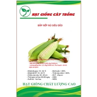 Hạt Giống Bắp Nếp Nù Siêu Dẻo CT58 - Gói 100gram