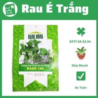 Hạt giống rau thơm Sả (Lá é)- húng trắng- 2 gram