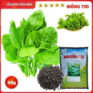 20g Hạt Giống Rau Mồng Tơi: Ngon Ngọt, Lá Tròn To, Dễ Trồng