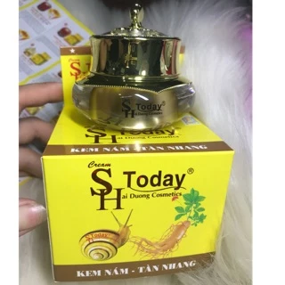 [ giá sỉ ] SH Today Kem nám - Tàn nhang (40g )