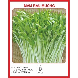 Hạt Giống MẦM RAU MUỐNG - 50GRAM