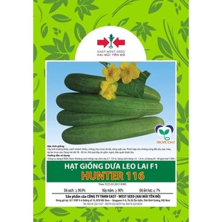 HẠT GIỐNG DƯA LEO LAI F1 HUNTER 116 HAI MŨI TÊN ĐỎ (10gram)