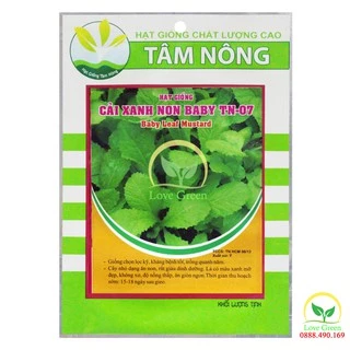 Hạt Giống Cải Bẹ Xanh Non Baby 20G