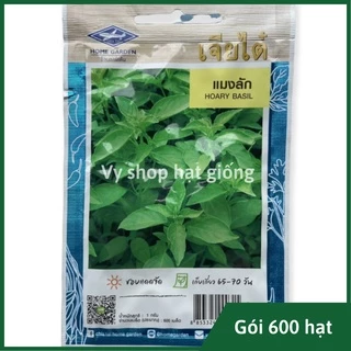 Hạt giống lá é trắng Thái Lan gói 600 hạt