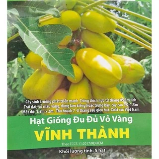 Hạt giống đu đủ vỏ vàng_ Gói 5 hạt