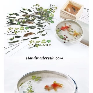 Sticker dán Cá vàng 3d- Vẽ tranh nghệ thuật Resin- CV003