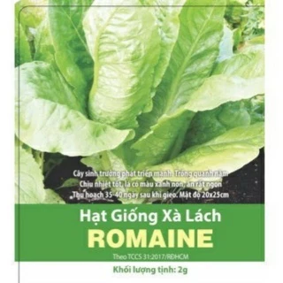 Hạt giống xà lách romaine RaDo 2g