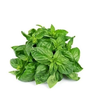 Hạt Giống Húng Tây Basil 200 Hạt