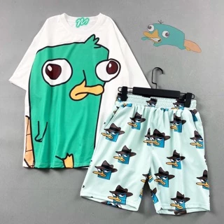 Set quần đùi cartoon và áo thun freesize hoạt hình unisex chất thun thoáng mát SIB105