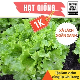 Deal 1K - 50 Hạt giống xà lách xoăn xanh - Tập làm vườn cùng Tạ Gia Trang