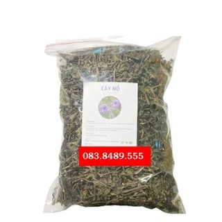 Cây nổ (sâm tanh tách) (1KG) - Cực tốt cho người bệnh thận hư, suy thận