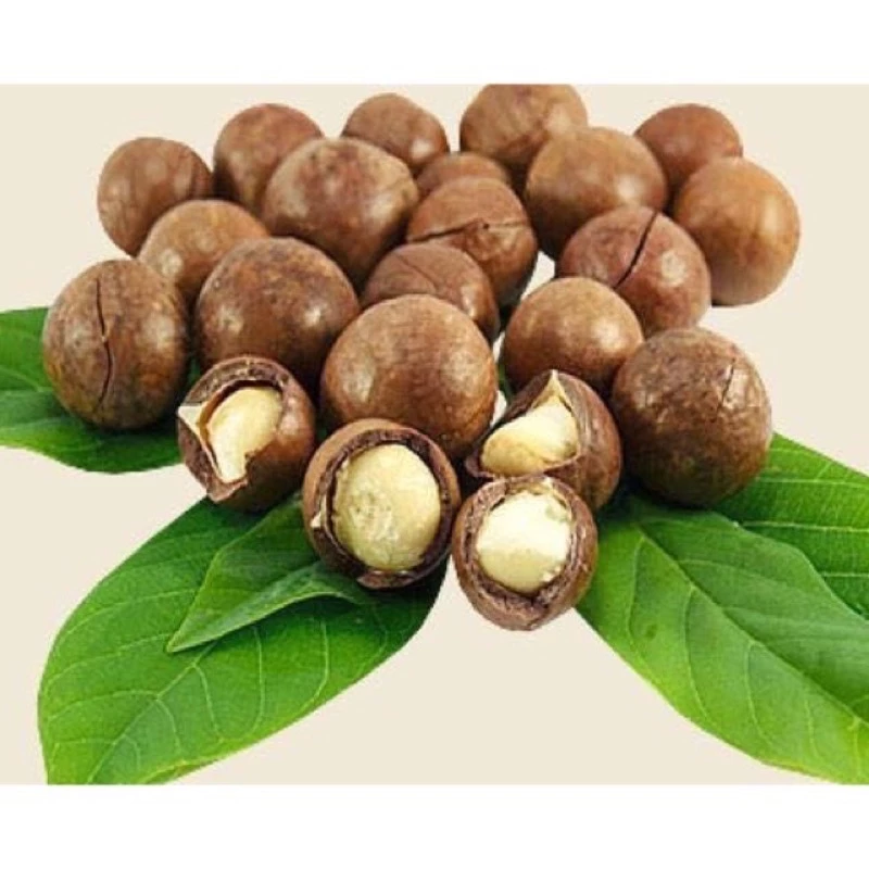 1Kg Hạt Macca Nguyên Vị Nứt Vỏ Tự nhiên