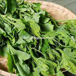 10GR - HẠT GIỐNG BÍ SIÊU NGỌN