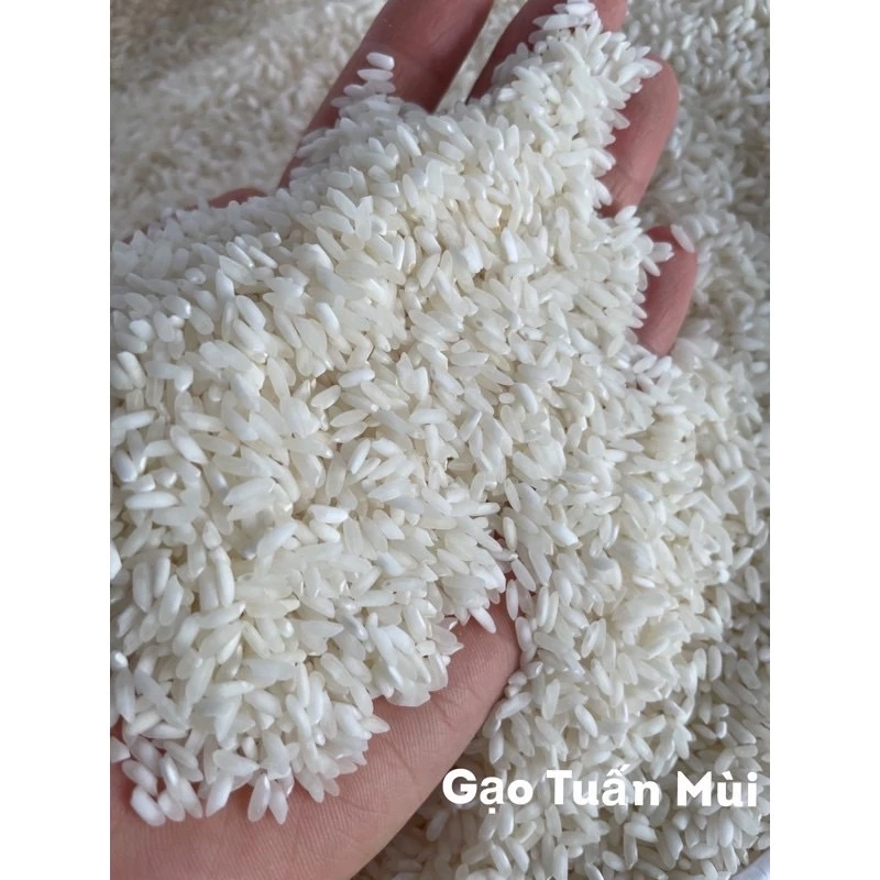 Gạo Tài Nguyên Chợ Đào (Bao10ky)