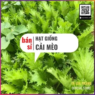 [Bán sỉ] - Hạt Giống Cải Mèo