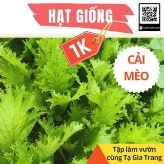 Deal 1K - 100 Hạt giống rau Cải Mèo - Tập làm vườn cùng Tạ Gia Trang