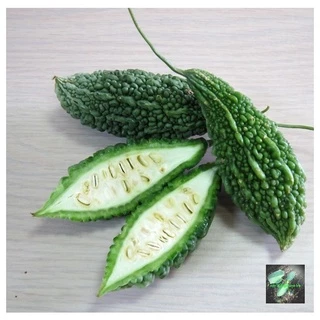 [Seeds] Hạt giống khổ qua trái xanh (mướp đắng), đóng gói 10 hạt