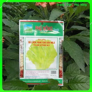 Hạt Giống Xà Lách Vàng Cao Sản No.2 Phú Nông - Gói10g - Yellow Lettuce No.2