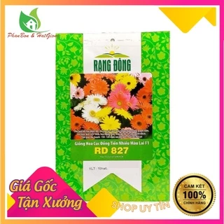 Hạt Giống Hoa Cúc Đồng Tiền Nhiều Màu - Shop Phân Bón và Hạt Giống