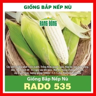 Hạt giống bắp nếp nù - rau củ quả trồng chậu chịu nhiệt 4 mùa ngon nảy mầm cao 50g RADO 535