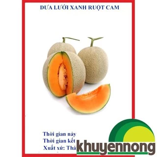 20 hạt giống dưa lưới xanh ruột cam