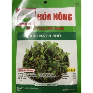 Hạt giống Rau má lá nhỏ 🌱