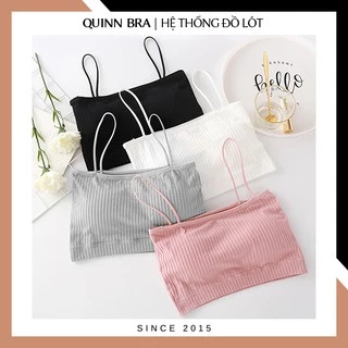 Bra Ống Gân Tăm không gọng đệm mút cao cấp QUINN BRA cotton đẹp AB809 - Áo Lót áo ngực quây hai dây học sinh thời trang