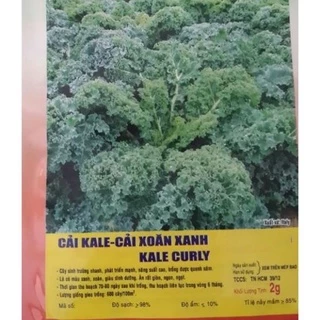 Hạt Giống Cải Kale - Cải Xoăn Xanh - Gói 2 Gram