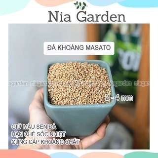 Đá masato giữ màu sen đá rải mặt chậu xương rồng kiểng lá trộn giá thể trồng cây Nia Garden N6