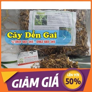 Cây Dền Gai Khô 1Kg - Thảo Dược Thanh Bình