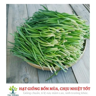 Hạt giống hẹ 1g (mùi thơm nồng, thân bụ, lá dày bản)