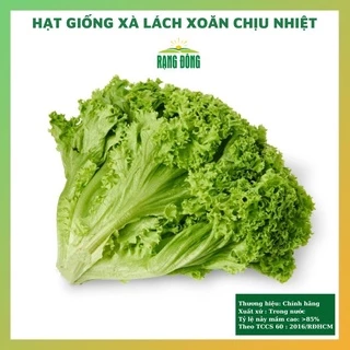 Hạt giống xà lách xoăn cao sản chịu nhiệt giòn ngọt - rau củ quả trồng chậu chịu nhiệt 4 mùa tỉ lệ nảy mầm cao 5gr RADO