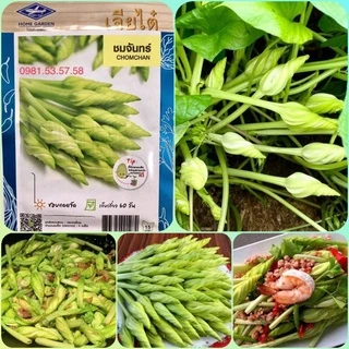 Hạt giống hoa chomchan Thái Lan dễ trồng nhanh thu hoạch gói 5h