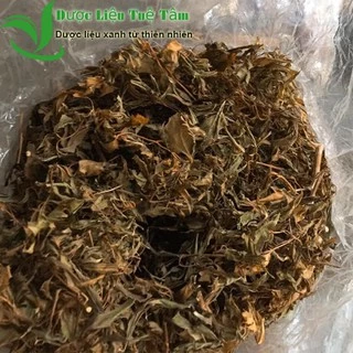 500g lá đinh lăng khô - cao cấp thơm nức