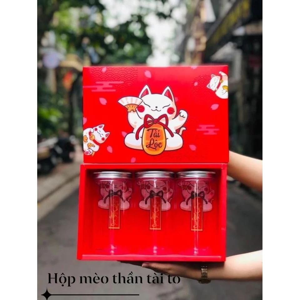 Hộp mèo thần tài (To)