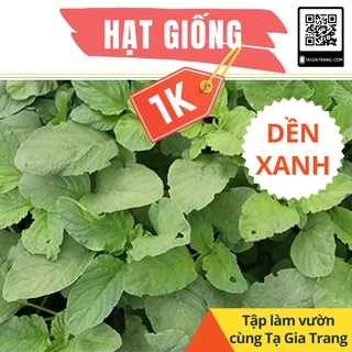 Chỉ 1K - 100 hạt giống rau dền xanh ăn cực ngon - Tập làm vườn cùng Tạ Gia Trang