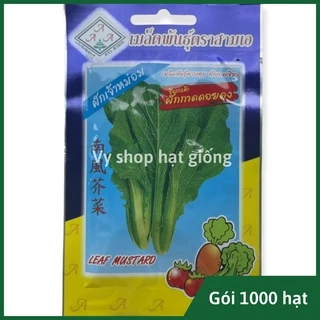 Hạt giống rau cải mù tạt (cải bẹ xanh) Thái Lan gói 1000 hạt