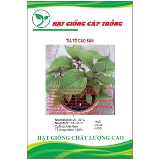 Hạt giống rau tía tô cao sản CT137 - Gói 2gram