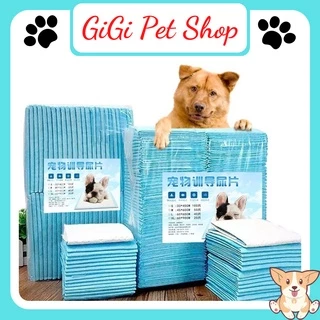 Tã lót chuồng cho thú cưng đi vệ sinh vào khay siêu thấm hút màu xanh size S M L phụ kiện chó mèo giá rẻ - GiGi Pet Shop