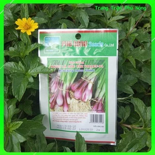 Hạt Giống Hành Lá Gốc Tím Violet-01 Phú Nông - Gói 2gr - Bunching Onion Violet