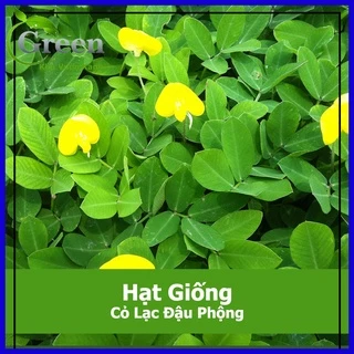 Hạt Giống Cỏ Lạc Đậu Phộng