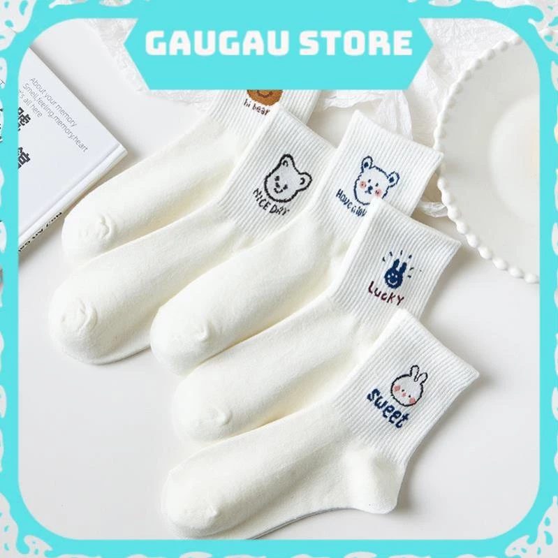 Tất Nữ Trắng Cổ Cao In Hình Gấu Teddy Xinh Xắn Vải Cotton Co Giãn Hàn Quốc [  Hỏa Tốc HCM ]