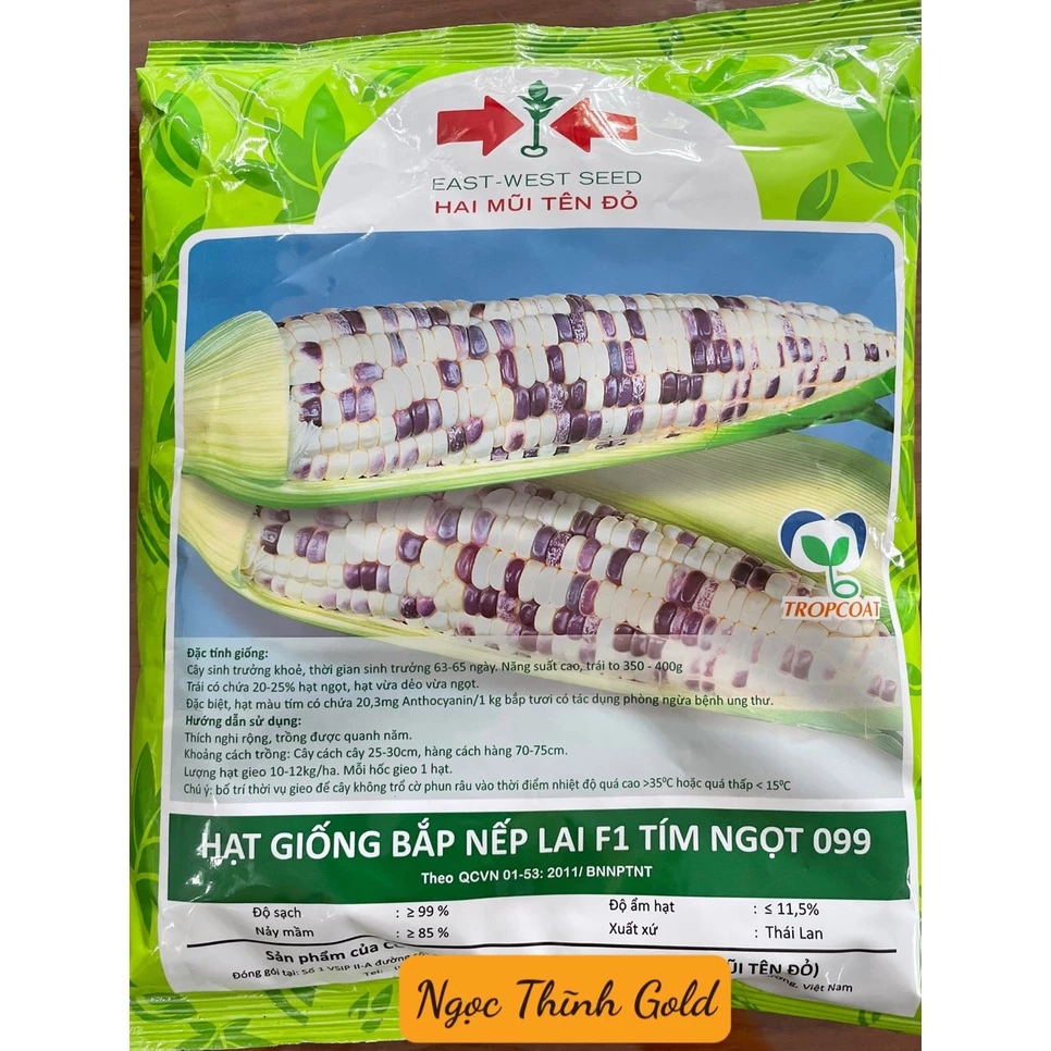 Hạt giống Bắp nếp lai F1 Tím Ngọt 099 (500g) _Hai mũi tên đỏ